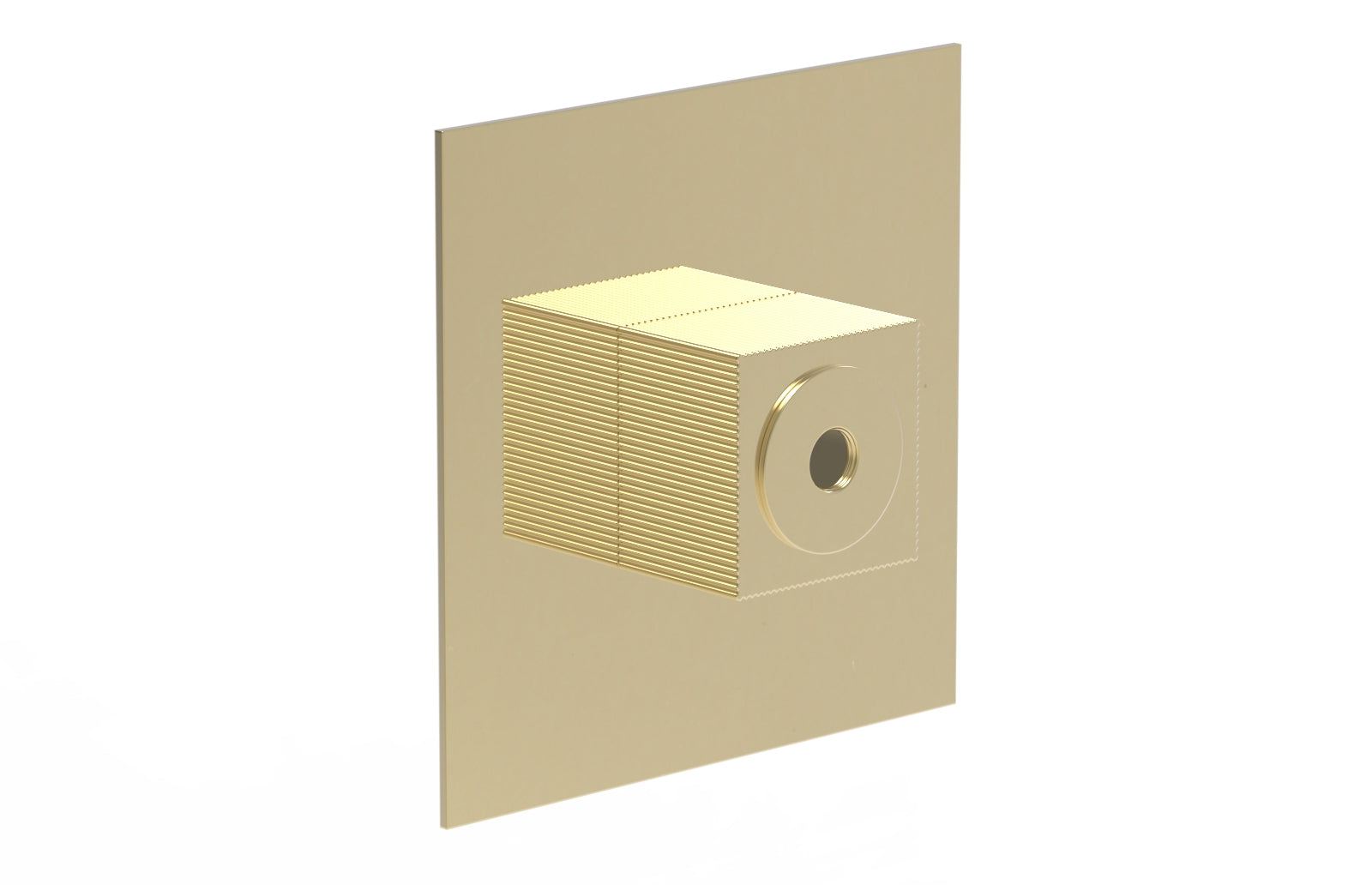 STRIA Extention Trim PB/TH Plate & Hub Assembly 3-428