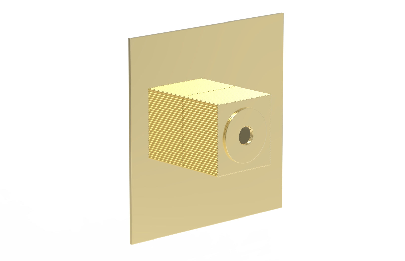 STRIA Extention Trim PB/TH Plate & Hub Assembly 3-428